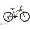CTM BERRY 24 detský bicykel, matná sivá