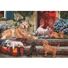 ANATOLIAN Puzzle Psí rodinka 260 dílků