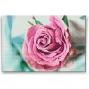 Vymalujsisam.sk Diamantovanie podľa čísiel - Hlavička ruže Veľkosť: 40x60cm, Rám: Na plastovej doske, Diamanty: Okrúhle
