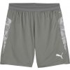 Puma teamCUP Training Shorts