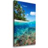 Vertikálny foto obraz na plátne Koralový útes 50x100 cm