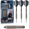 Šípky TARGET steel POWER SILVERLIGHT 22g - Phil Taylor