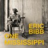 Bibb Eric - One Mississippi [LP]