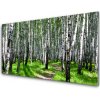 Nástenný panel Stromy tráva príroda 100x50 cm