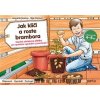 Jak klíčí a roste brambora - Kol