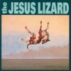 Jesus Lizard - Down / Vinyl [LP]