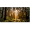 Foto obraz fotografie na skle slnečné svetlo 100x50 cm