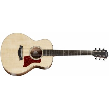 Taylor GS Mini