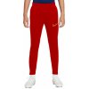 Tepláky Nike DF Academy 21 Pant KPZ Junior CW6124-687