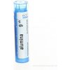 Alumina gra.1 x 4 g 9CH