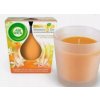 Air Wick Anti Tabac Orange 105 g