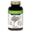 MASTICHA ACTIVE - Apothecary cps 1x100 ks