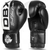 BUSHIDO Boxerské rukavice DBX B-2v20 - 12oz