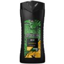 Sprchovací gél Axe Wild Green Mojito & Cedarwood Men sprchový gél 400 ml