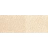 Pastel v ceruzke Derwent - P490 Pale Olive