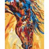 ZUTY Maľovanie podľa čísel - ŽIARIVKA S HRIVOU Rámovanie: bez rámu a bez vypnutia plátna, Rozmer: 80x100 cm