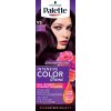 Schwarzkopf Palette Intensive Color Creme V5 Intenzívna fialová
