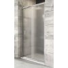 Sprchové dvere RAVAK Blix BLDP2-100 bright alu 190x97-101 cm 0PVA0C00ZG