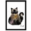Mačka - čierny rámik Plakat w ramce