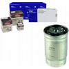 PALIVOVÝ FILTER DELPHI 319222EA00 319223A810 319222E9
