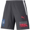 Puma NJR Short Schwarz F07 605602-007