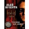 Brichta Aleš - Best Of Videos / Beatová síň slávy [DVD]