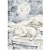 COTTON & SWEETS Plagát - Lovely Bear 50x70