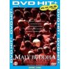 Malý Buddha - DVD