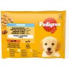 Pedigree Junior kura ryža hovädzina ryža v želé 4 x 100 g