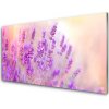 Obraz plexi Levanduľovej pole slnko kvety 100x50 cm