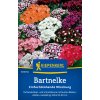 Kiepenkerl Klinček bradatý zmes - 1 bal.