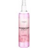 Satisfyer Women Disinfectant Spray 300ml