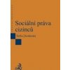 Sociální práva cizinců - M. Štefko, Kristina Koldinská