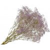 Stabilizovaná Gypsophila - Nevestin závoj 80g - fialový