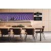 DIMEX | Dibond doska za kuchynskú linku | DBW-26060-029 Levanduľa | 260 x 60 cm + Dibond obkladová doska Dimex do kuchyne Levanduľa v rozmere 260 x 60 cm