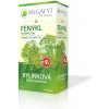 MEGAFYT Bylinková lekáreň FENIKEL bylinný čaj 20 x 1,5 g
