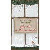 Advent ve starém domě - Hana Pinknerová, Adéla Jaworek