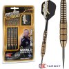 Šípky TARGET steel POWER Bolt 22g - Phil Taylor, BRASS