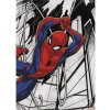 Obraz na plátne Spider-Man in Action 70x50 cm