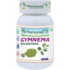 Gymnema Sylvestre (Gurmar) - Cukor, Metabolizmus - 500 mg, 60 kapsúl