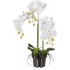 Umelá orchidea phalaenopsis 62 cm biela v plastovom kvetináči 15 cm