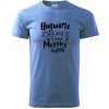 Harry - Hogwarts wasn’t hiring, so I teach Muggles instead - Klasické pánske tričko vyššej gramáže - 2XL ( Svetlomodrá )
