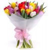 Sweet farebné tulipány pure