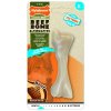 Nylabone Hračka NYLAB Puppy Beef Bone S