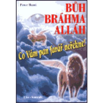 Bůh, Bráhma, Alláh aneb Co Vám Váš pan farář neřekne - Peter Bami