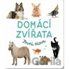Domácí zvířata - Svojtka&Co.