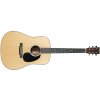 Martin 2021 D-10