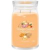 Yankee Candle Mango Ice Cream signature 567 g