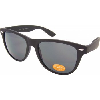 Ray Flector W2200/Classic Wayfarer Bigger Size