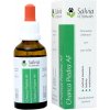 Salvia Veterinary Chanca Piedra AF 50 ml